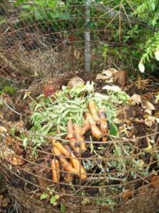 Creating Compost Potting Soil from Garbage Image